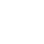 Perro