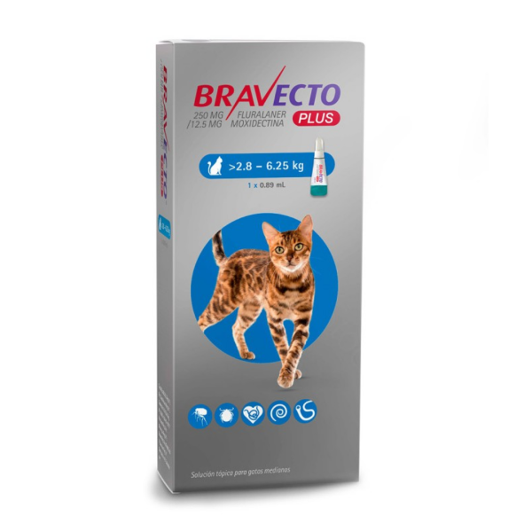 Bravecto Plus gato 2,8–6,25 kg