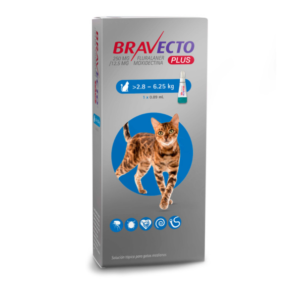 Bravecto Plus gato mediano