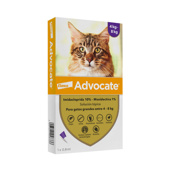 Advocate felino 4–8 kg