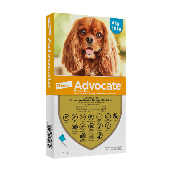 Advocate perro 4–10 kg