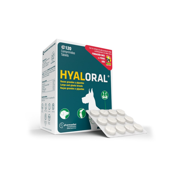 Hyaloral raza mediana/grande