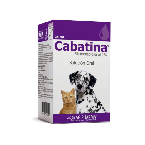 Cabatina