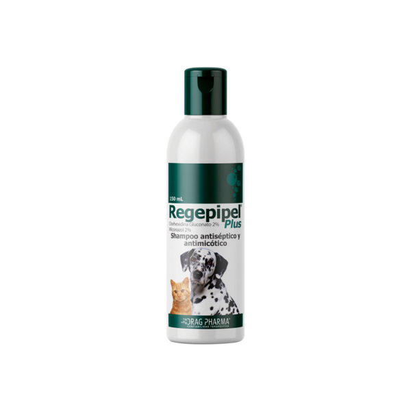 Regepipel Plus